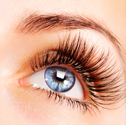 eyelash extension training course